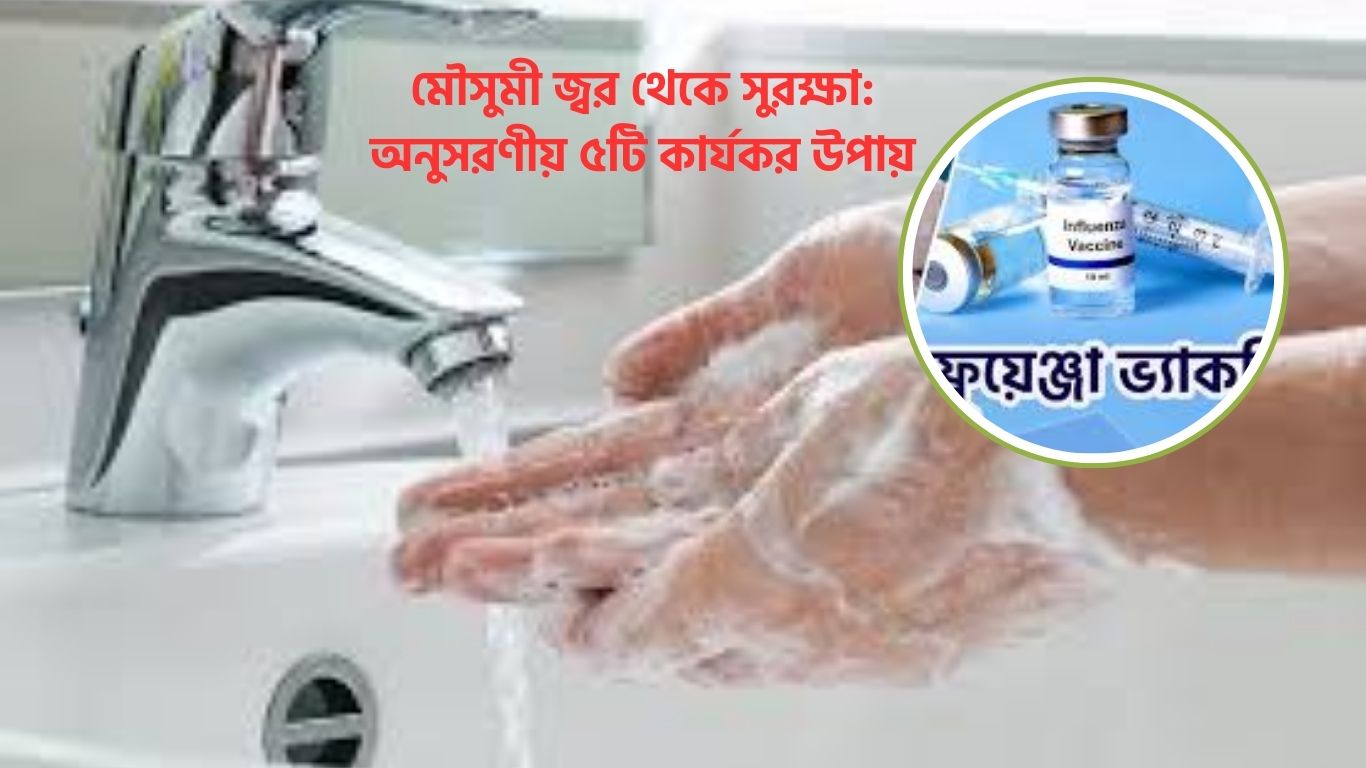 মৌসুমী জ্বর থেকে সুরক্ষা: অনুসরণীয় ৫টি কার্যকর উপায়