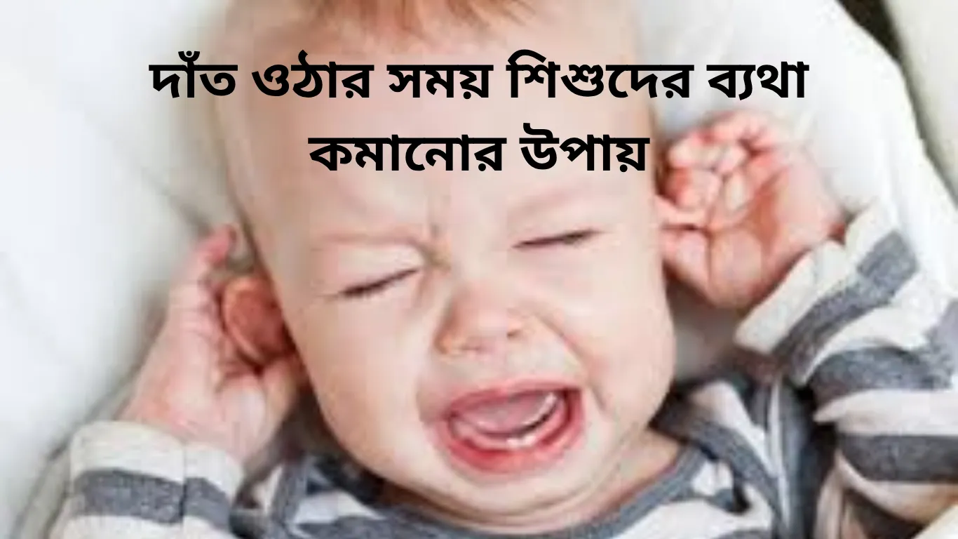 দাঁত ওঠার সময় শিশুদের ব্যথা কমানোর উপায়